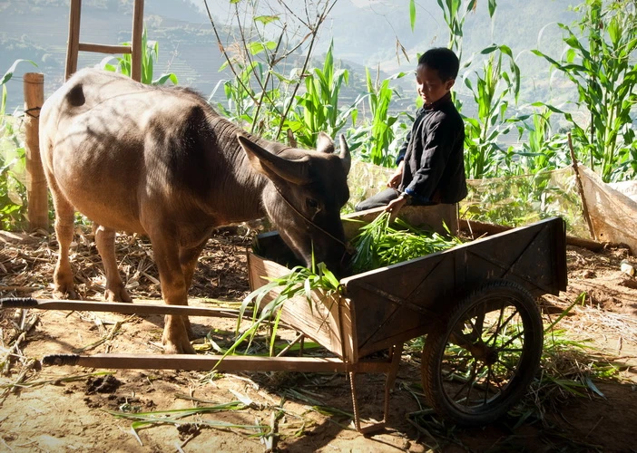 Ảnh dự thi “Vì môi trường xanh” (Phần 4) ảnh 9 Ảnh dự thi “Vì môi trường xanh” (Phần 4) ảnh 9